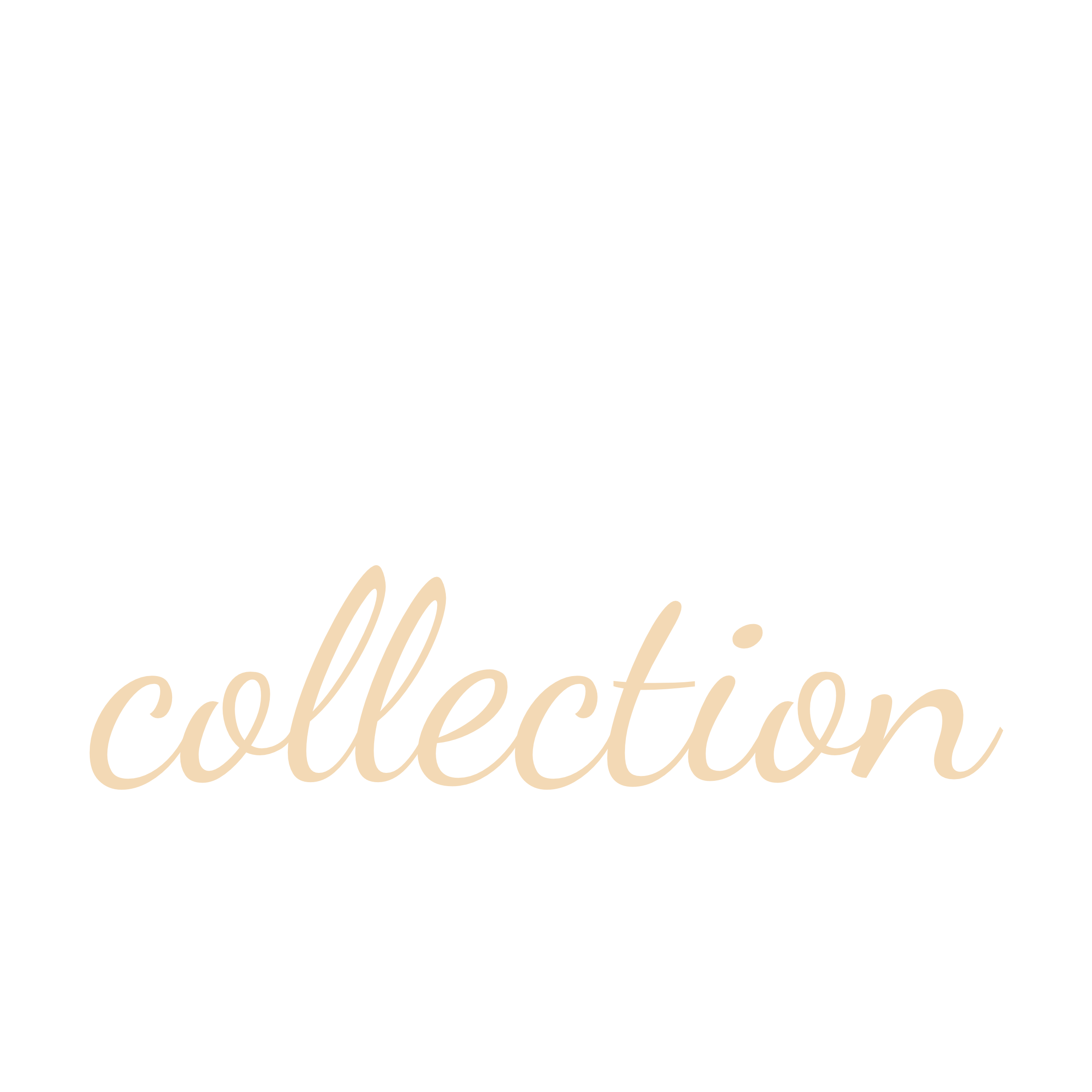 The Big 5 Collection