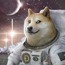 Dogemoon Flip