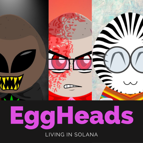 EggHeads Living in Solana