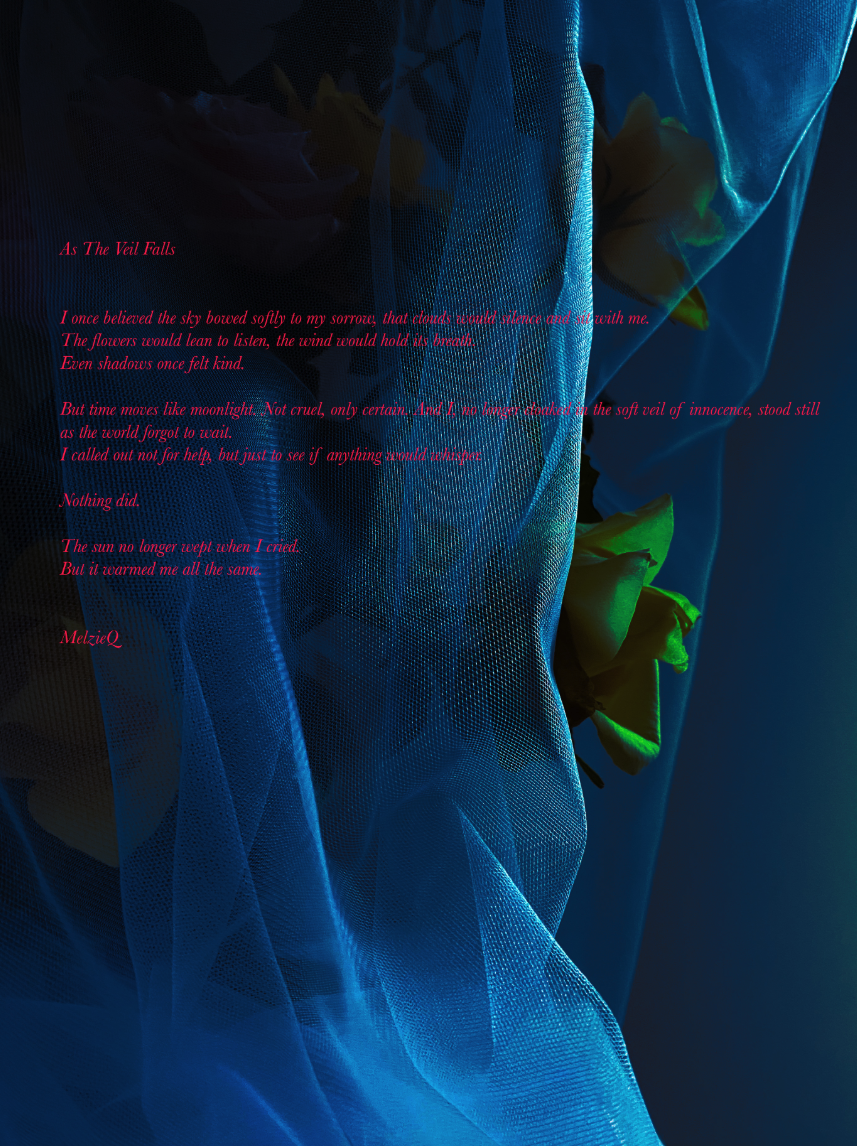 As The Veil Falls by Zoe Louise