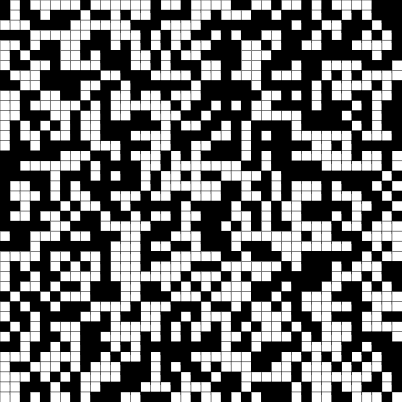 BitGrids