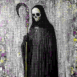 Collections Seals by Deth