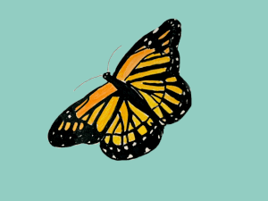 Monarch