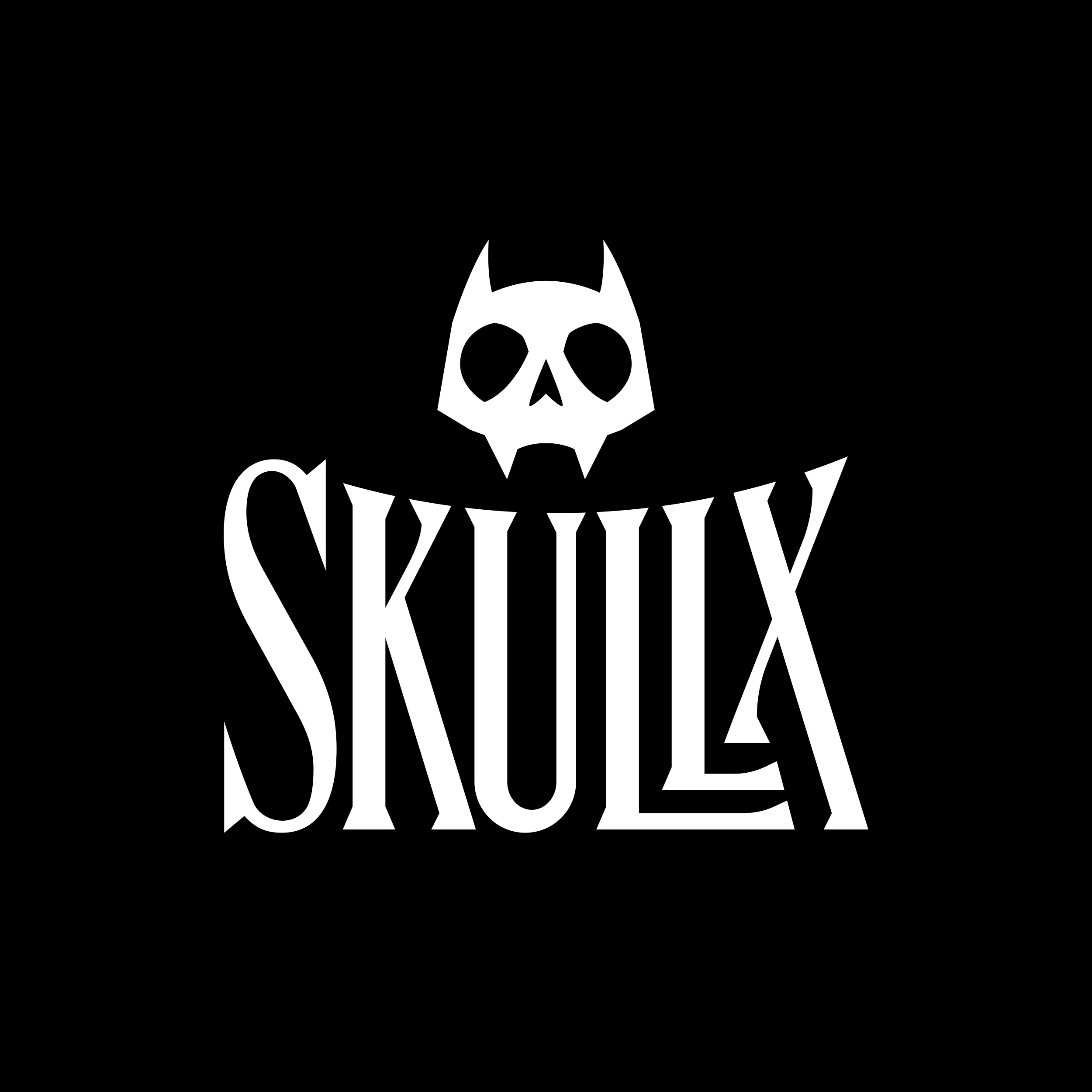 Skullx: Raiders