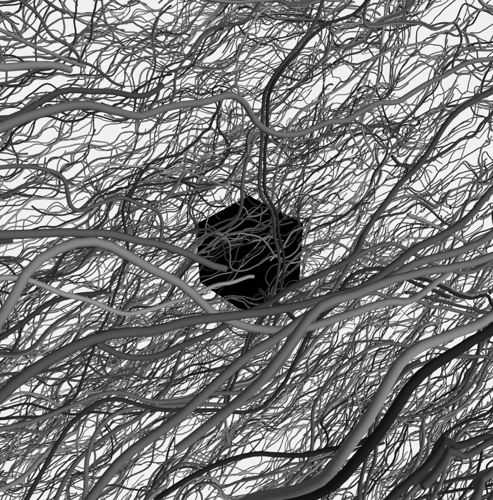 Solitary Node By 423Hugo