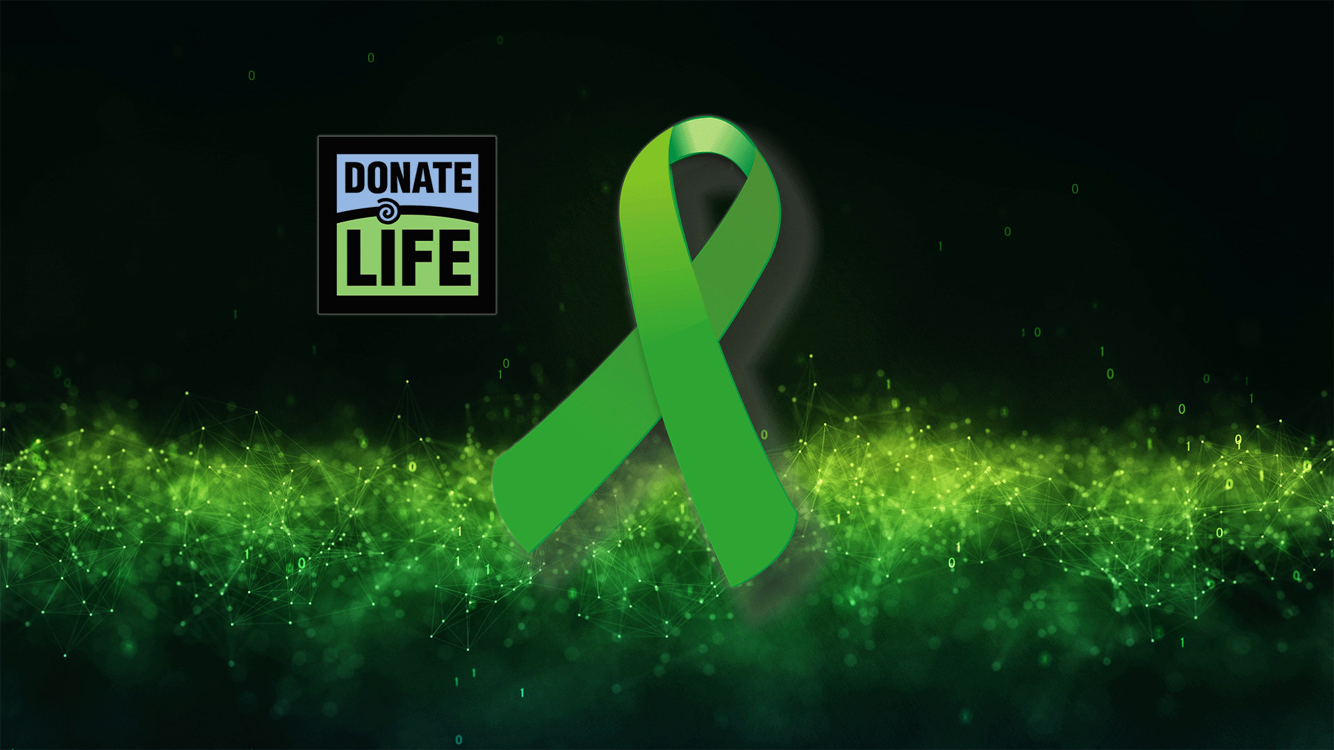 Organ Donor Ribbons