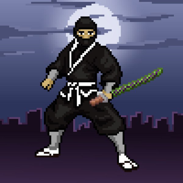 Shinobi Sers