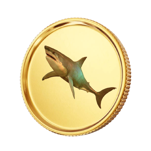 Sol Coin Fish