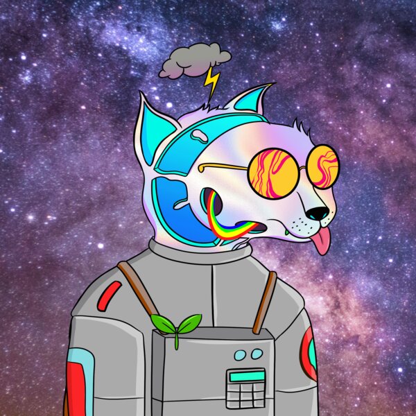 Space Cats