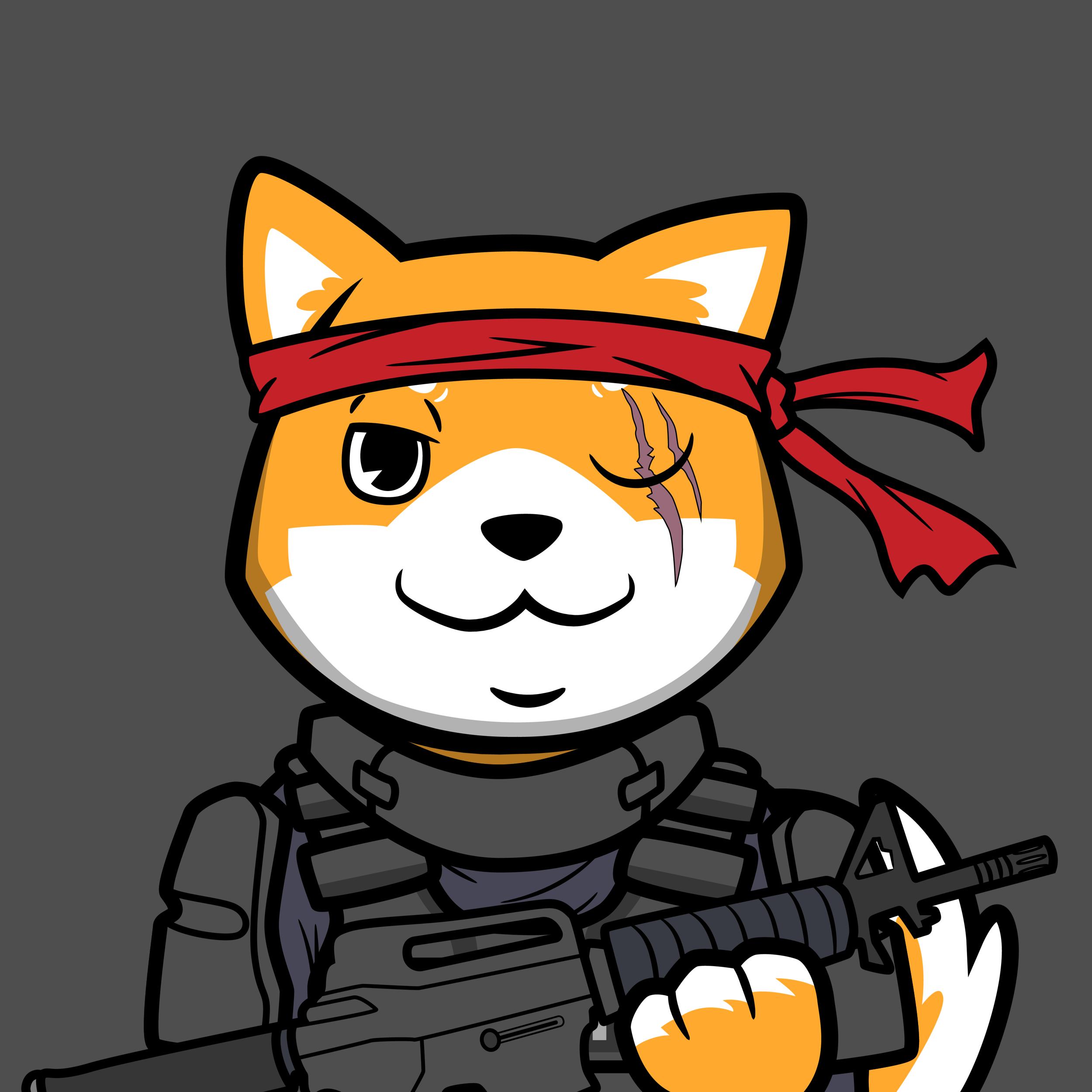 Solana Shiba Soldiers